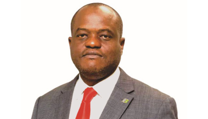 Ademola Abidogun named as CEO of Guinea Insurance - Commercial Risk