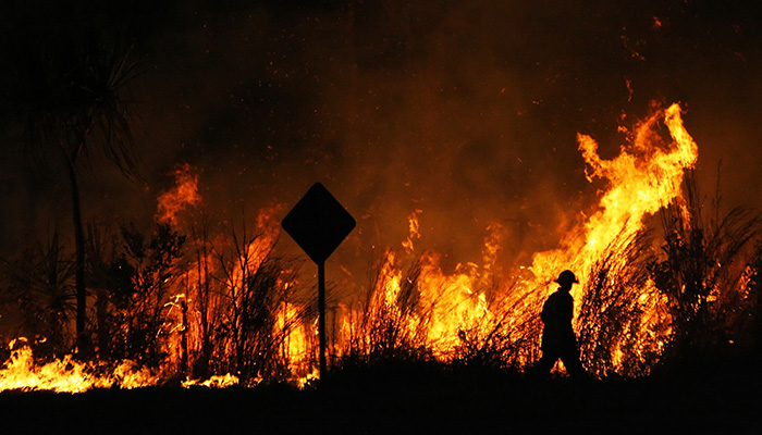 Firefighter walking around a controlled bushfire next to the road.