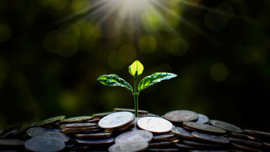 Plant trees from a pile of coins with the financial business concept. Saving and money growth