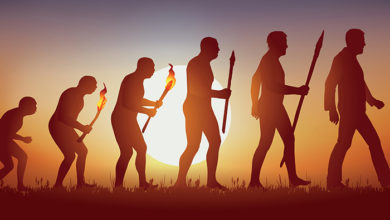 Concept of Darwinâ€™s theory of evolution, illustrated with the transformation of the human silhouette from primitive man to modern man.