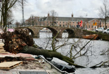 Amsterdam, the Netherlands - 19 February 2022: Trees blown away after The Eunice Storm. Eunice is an intense extratropical cyclone that is part of the 2021â€“2022 European windstorm season.