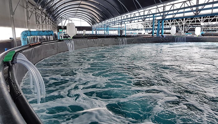 Indoor fish farm facility. Credit: Shutterstock/Anirut Krisanakul