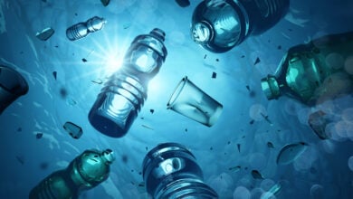 Floating plastic bottles