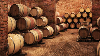 Wine barrels in wine-vaults