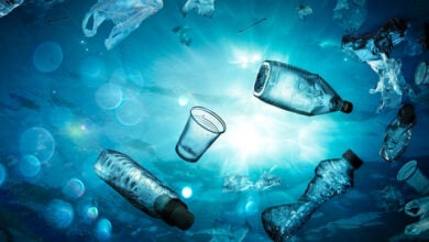 Plastic in water - forever chemicals