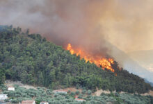Forest fire in Rhodes, Greece, July 2023
