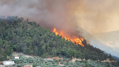 Forest fire in Rhodes, Greece, July 2023