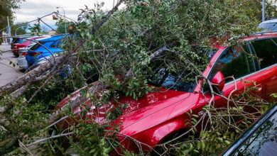 Storm Ciarán aftermath - broken branches on top of car.